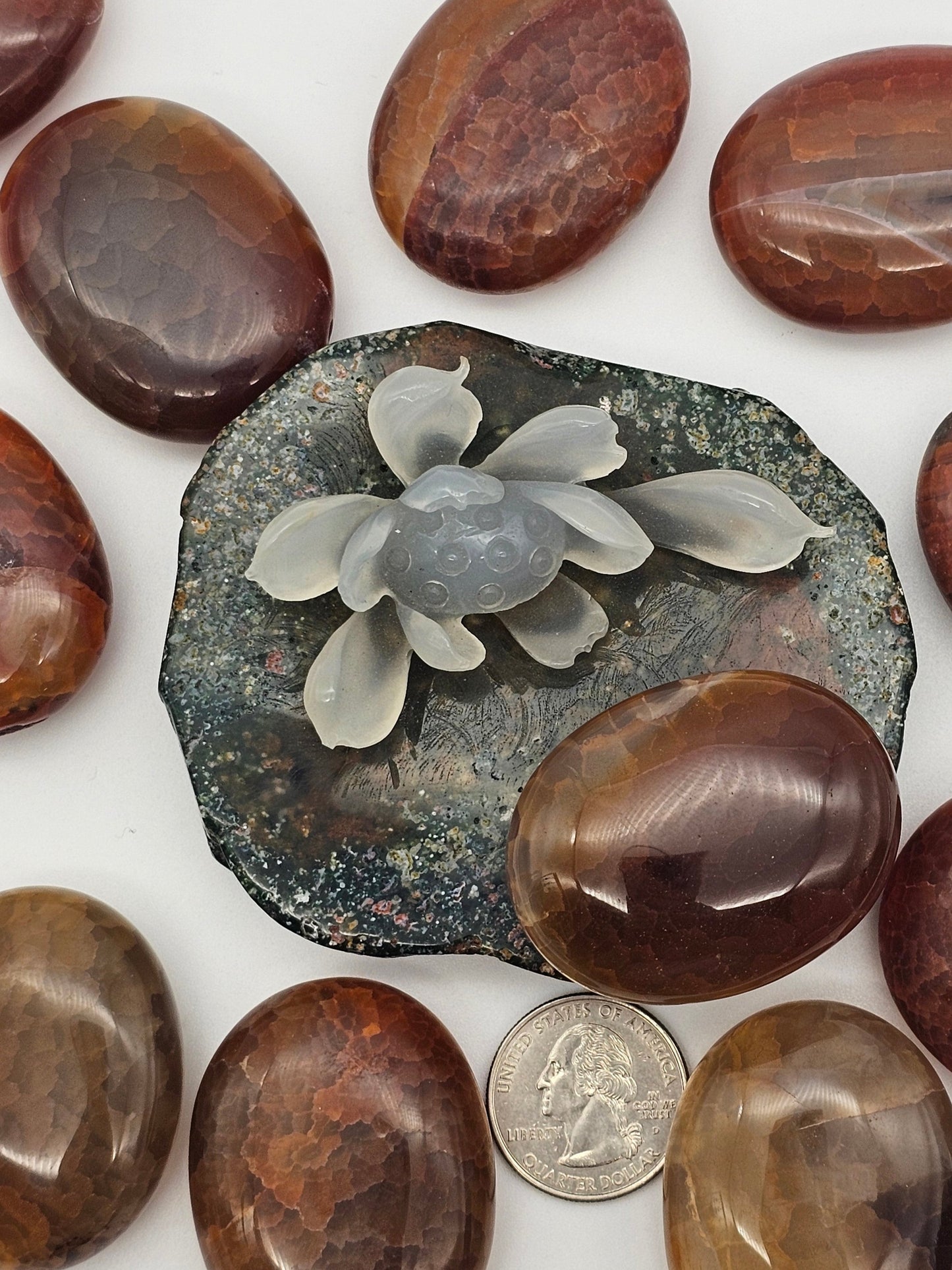 Fire Agate / Snakeskin Agate Palm Stone - alternate view