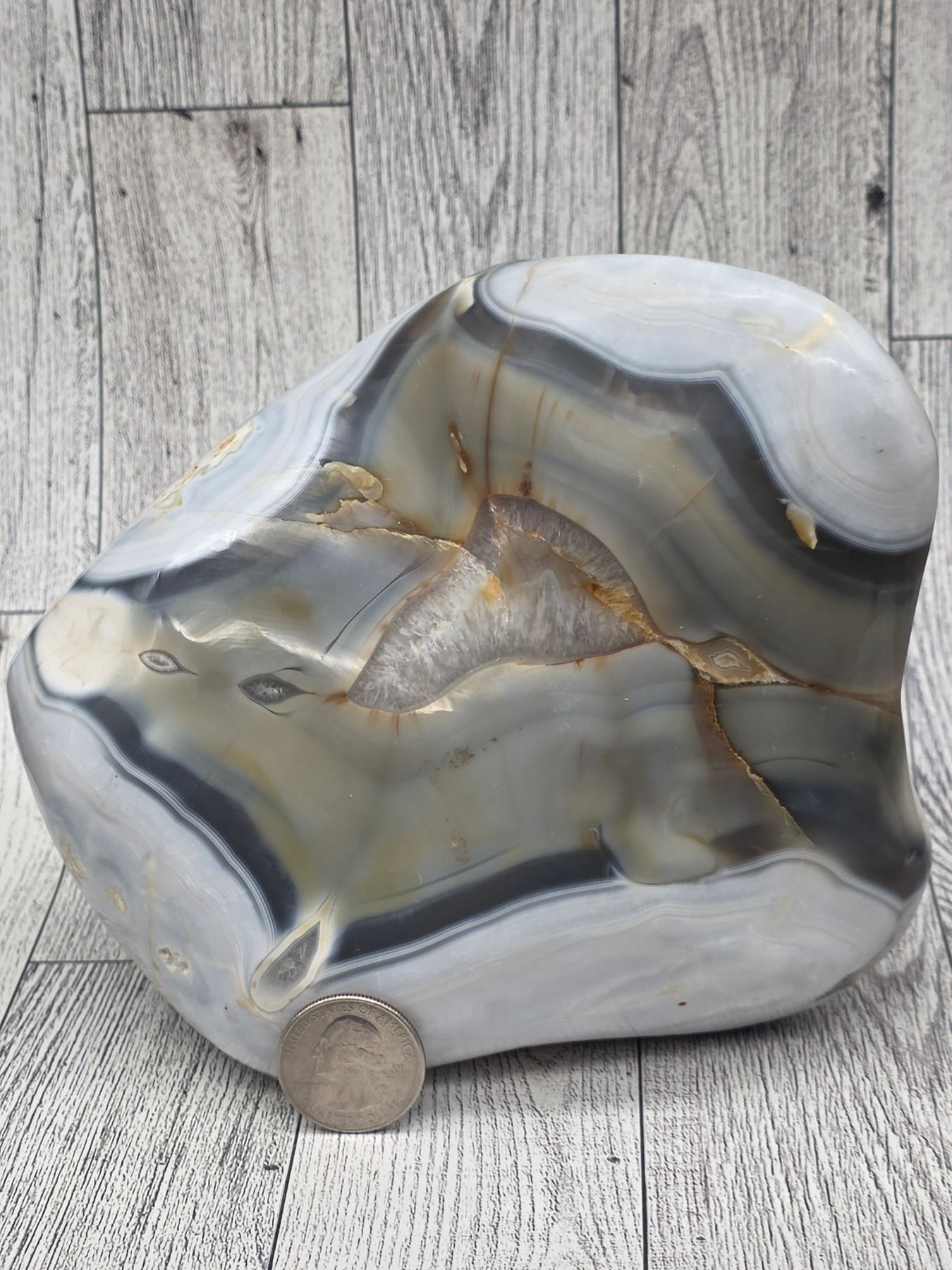 Orca Agate Freeform