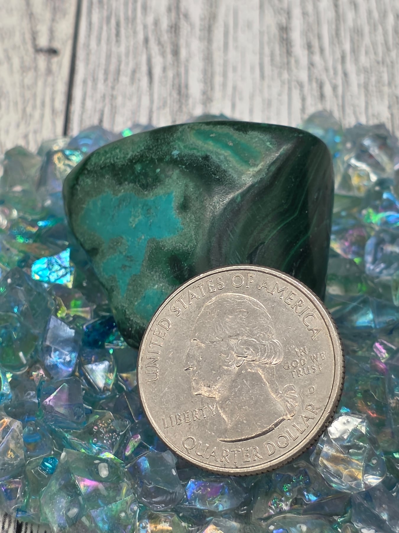 Malacholla Tumble