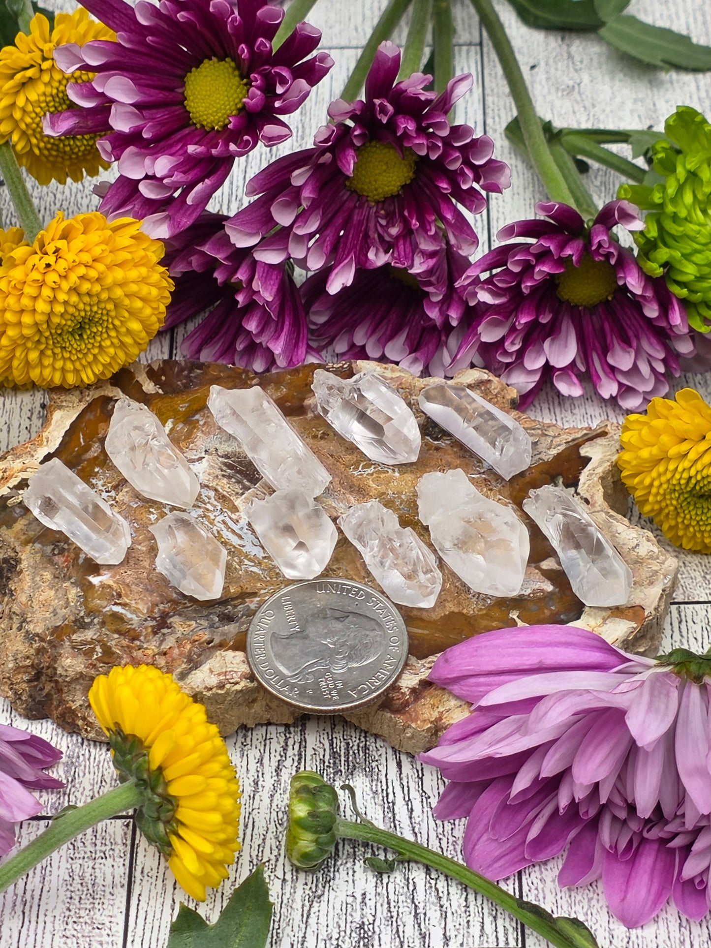 Set of 10 Lemurian Quartz Points
