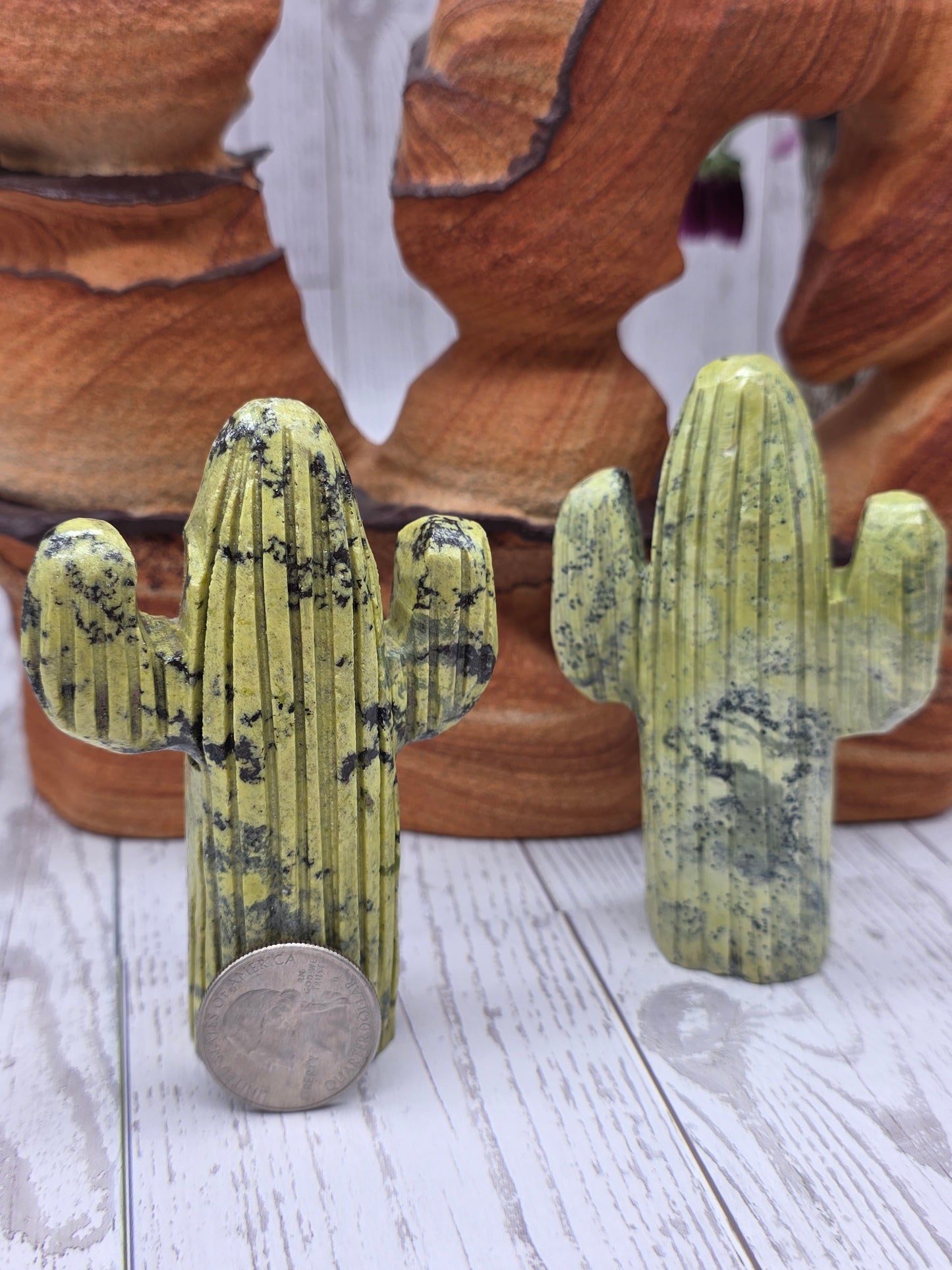 Serpentine Cactus Carving