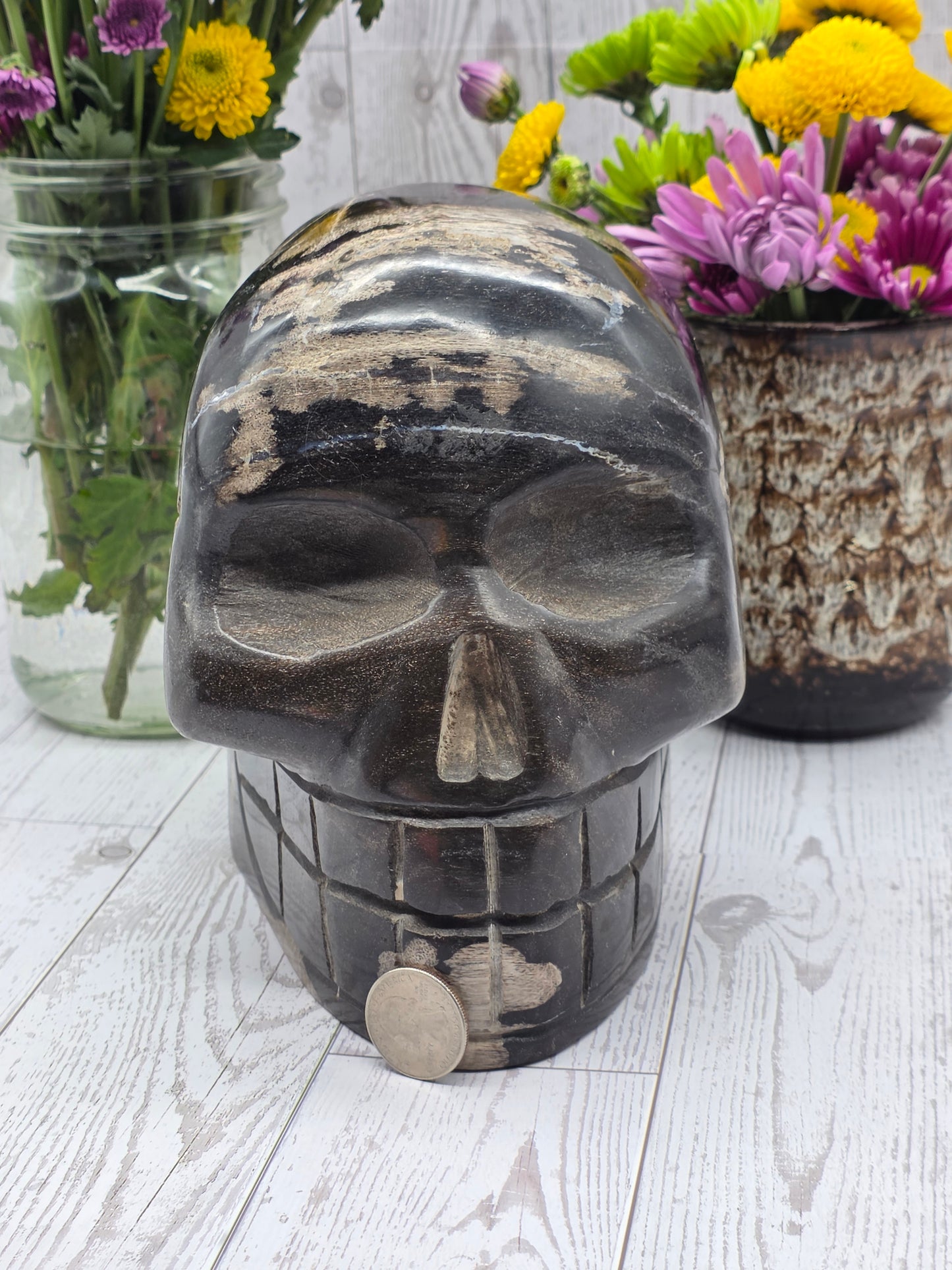 Extra Large Petrified Wood Skull