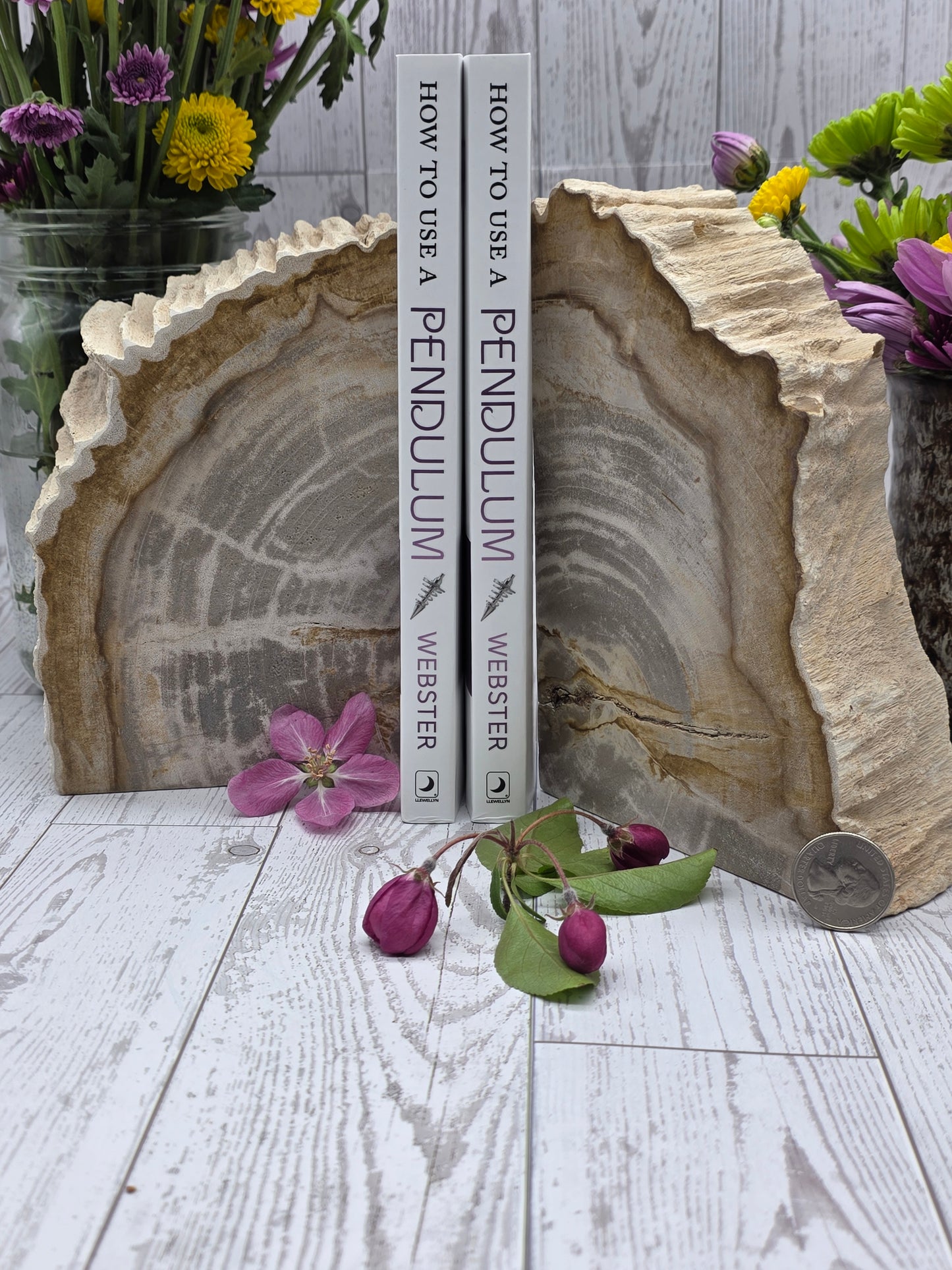 Petrified Wood Book Ends
