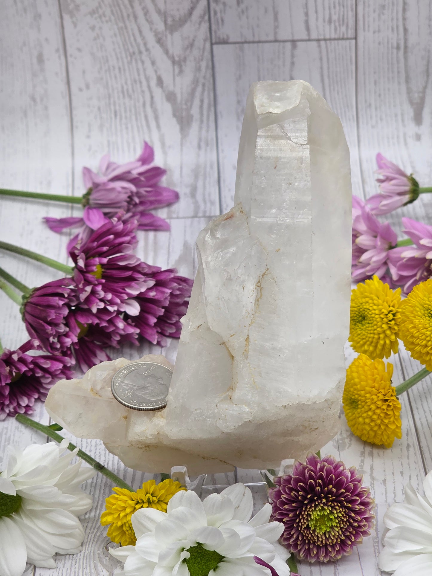 Large Lemurian Quartz Cluster
