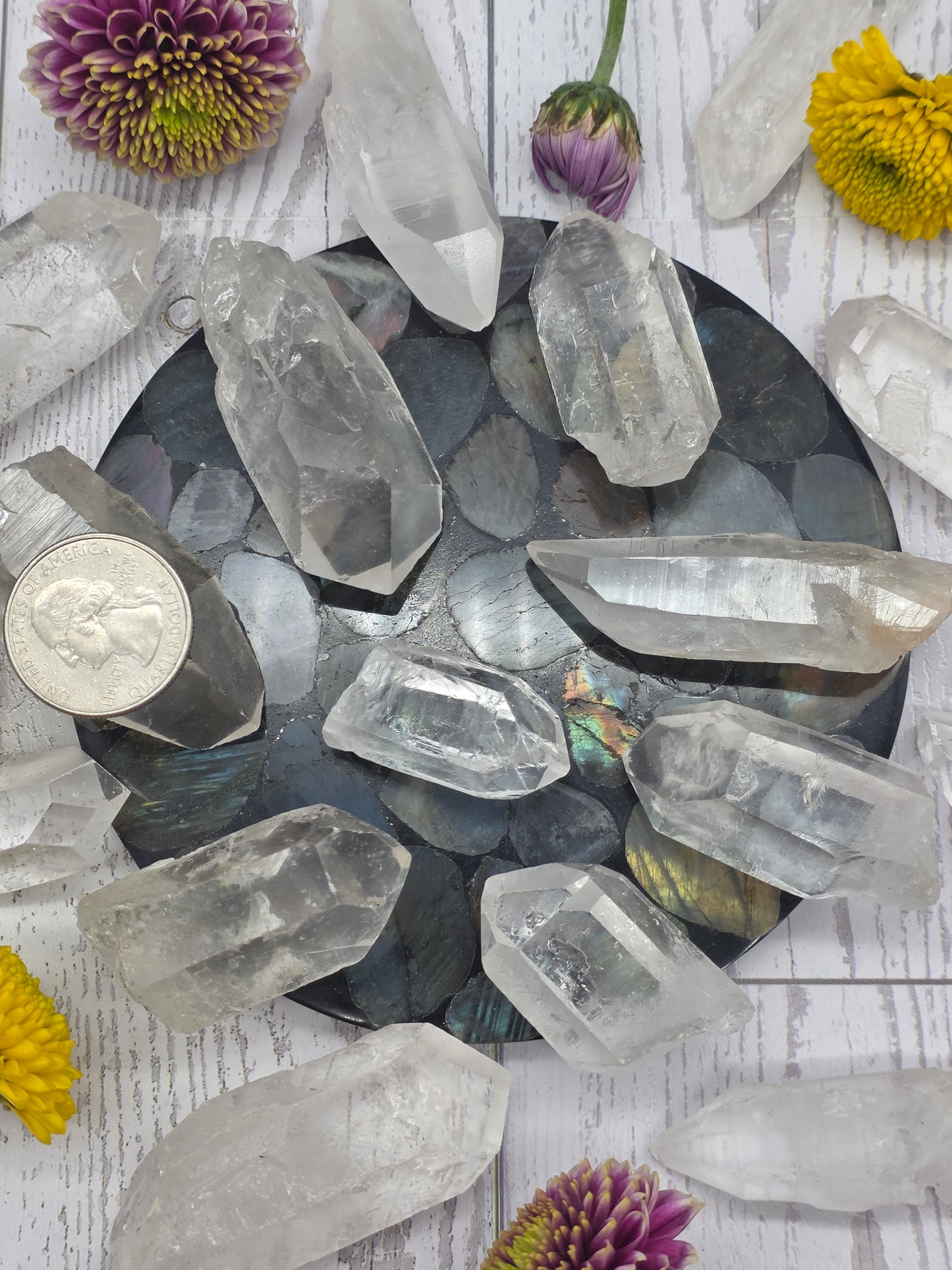 Lemurian Quartz Point