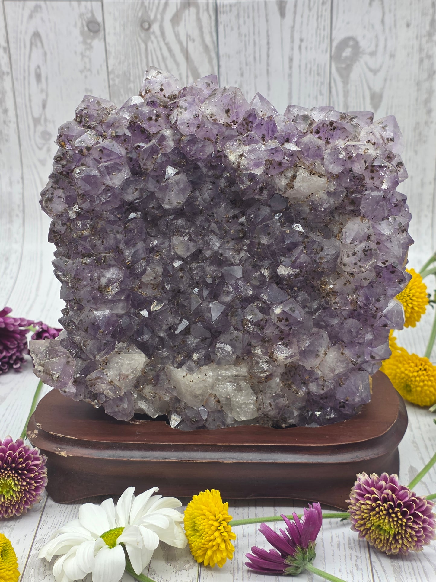 Amethyst Druzy with Wood Stand