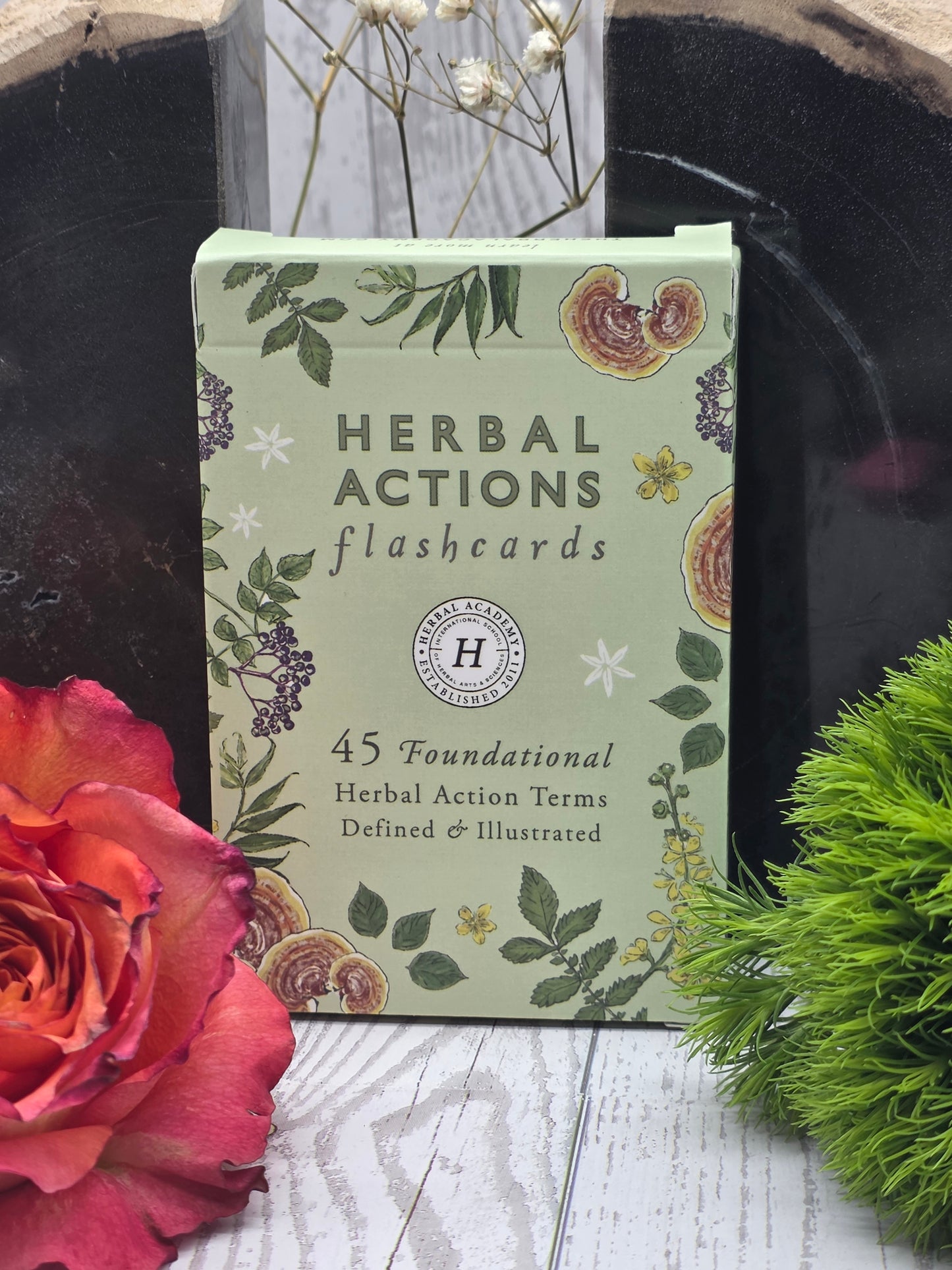 Herbal Actions Flashcards