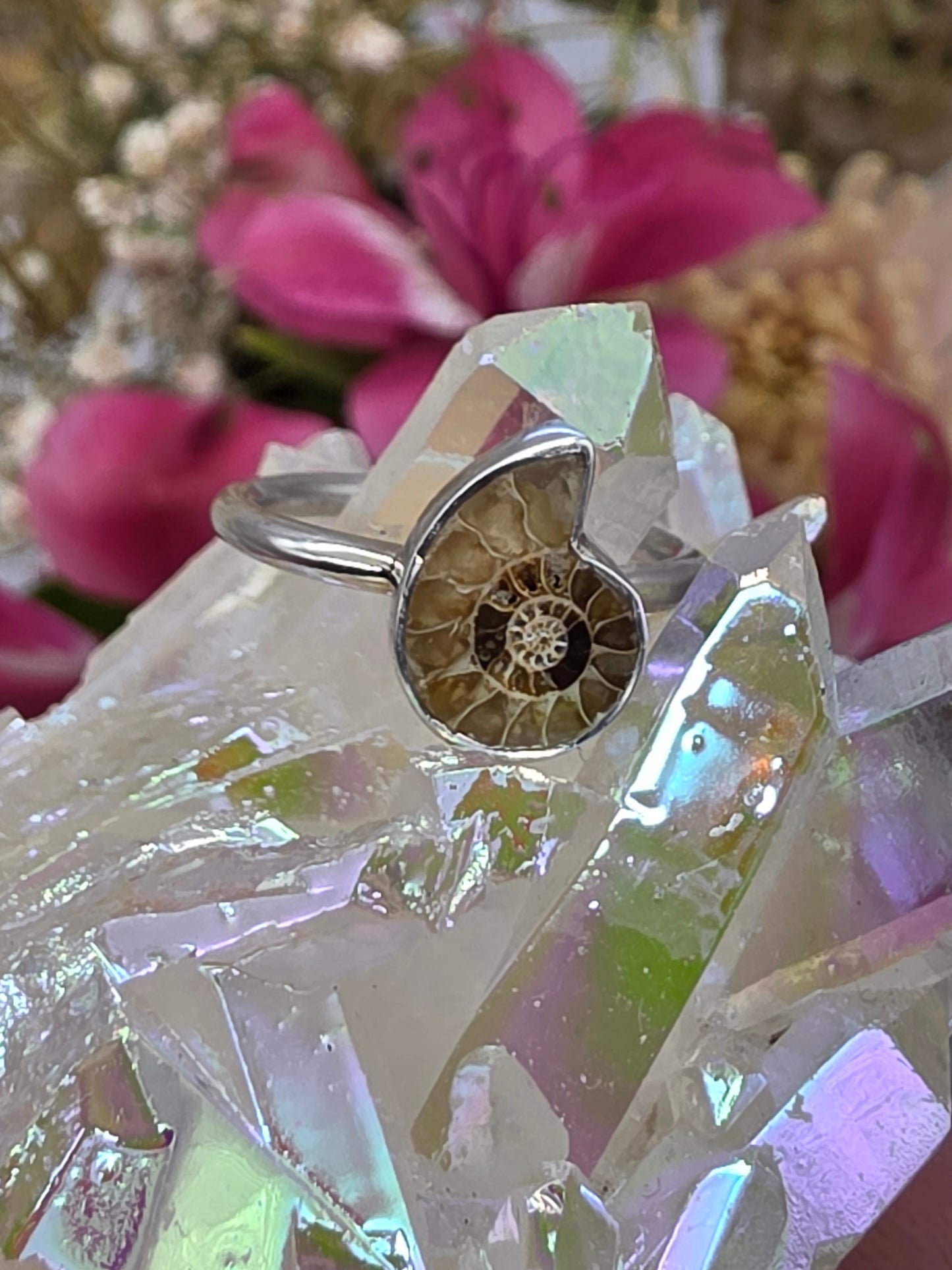 Ammonite Ring