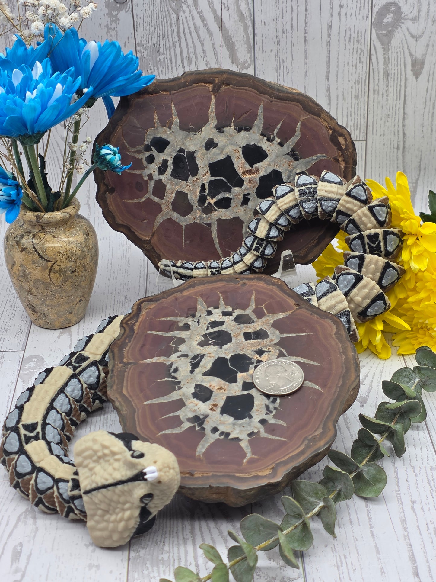 Septarian Nodule Pair