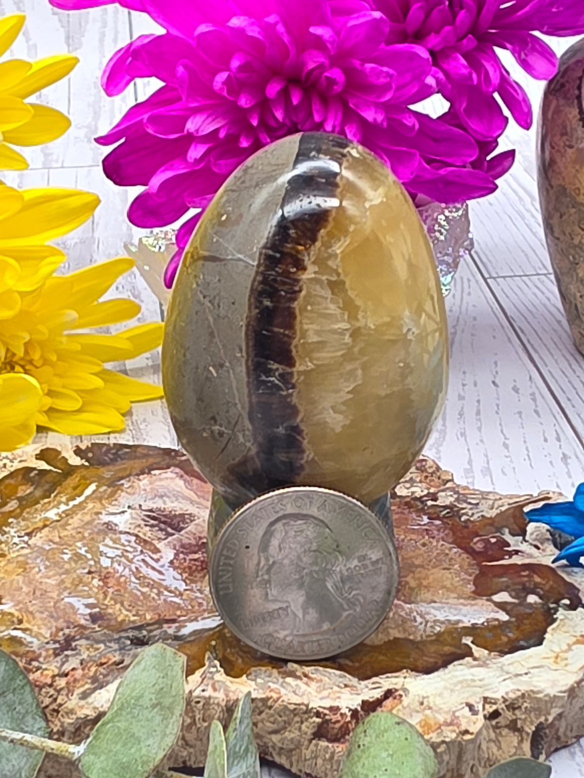 Septarian Egg