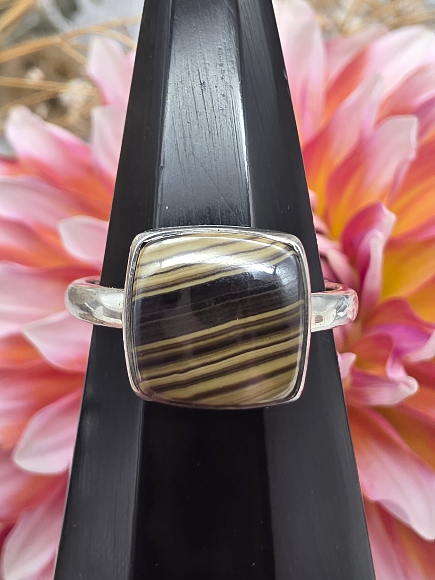 Schallenblende Ring