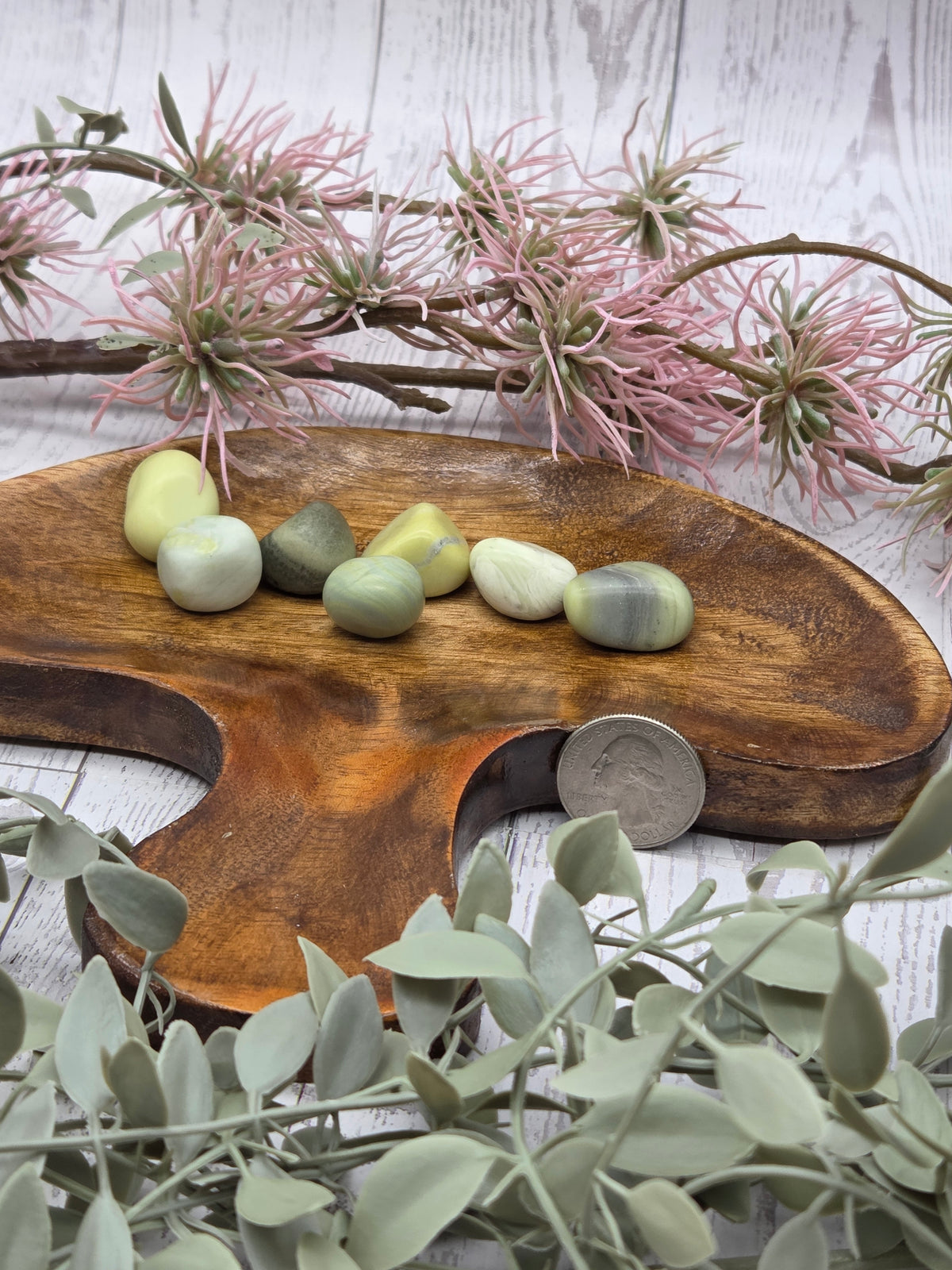 Wooden Mushroom Dish