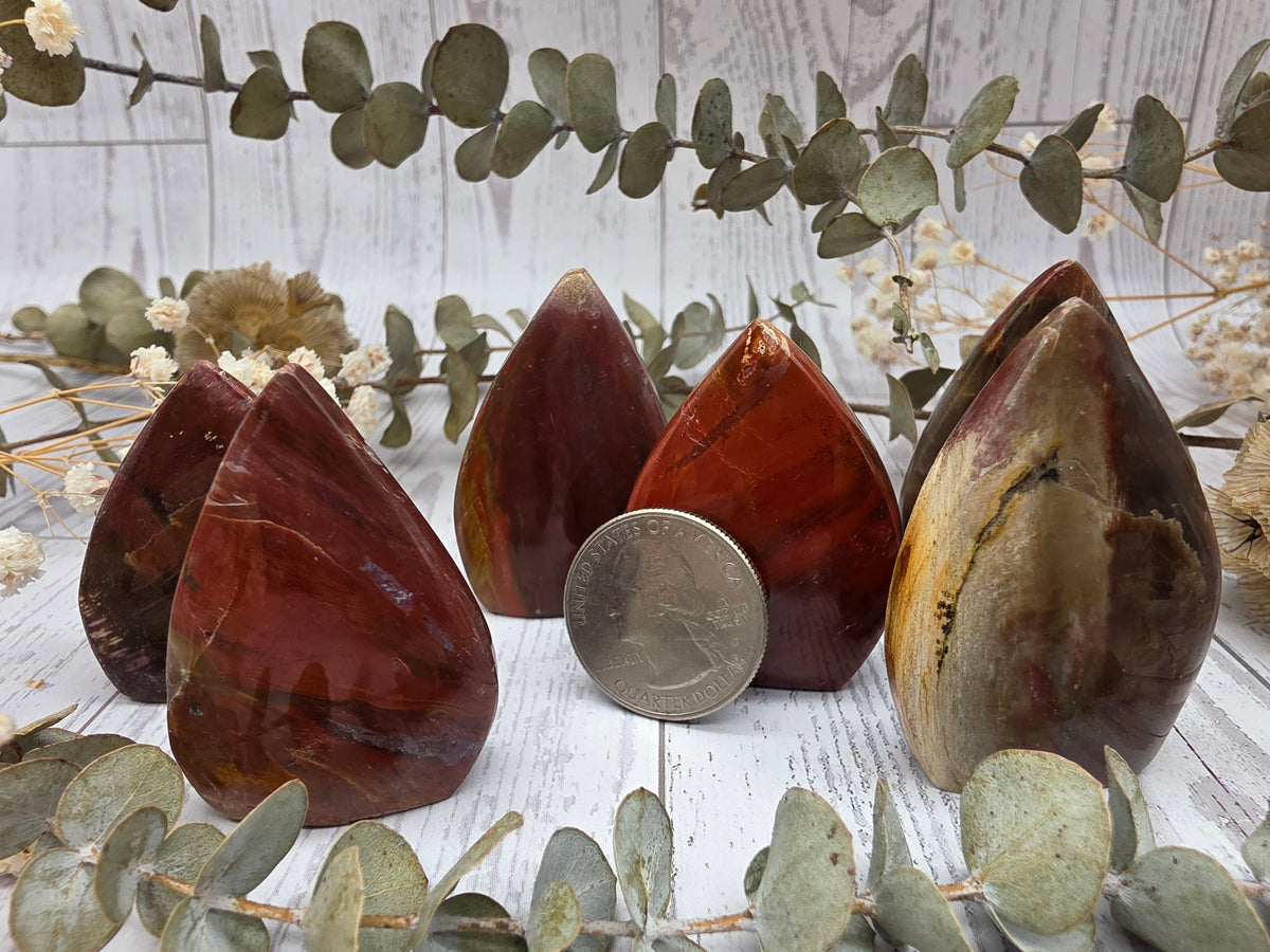 Petrified Wood Flame