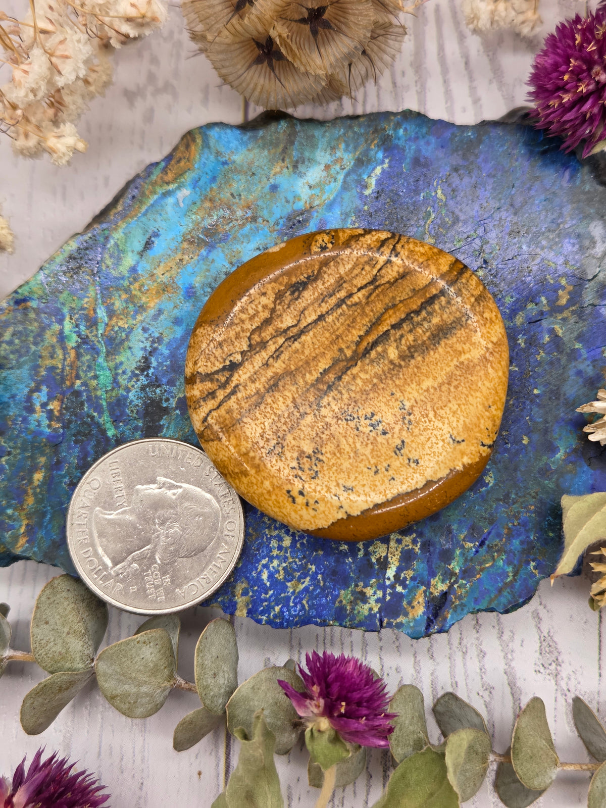 Picture Jasper Worry Stone