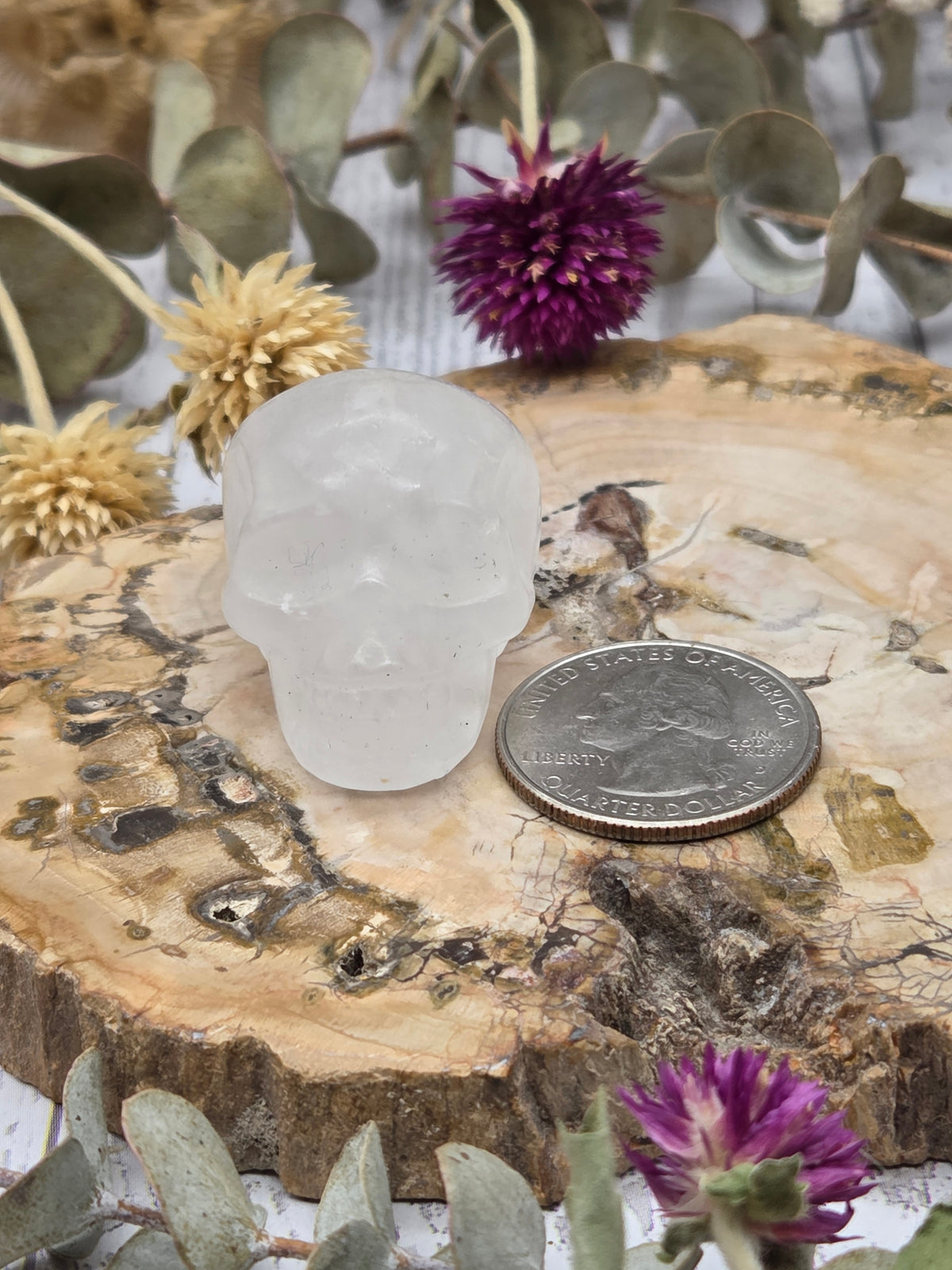 Clear Quartz Skull