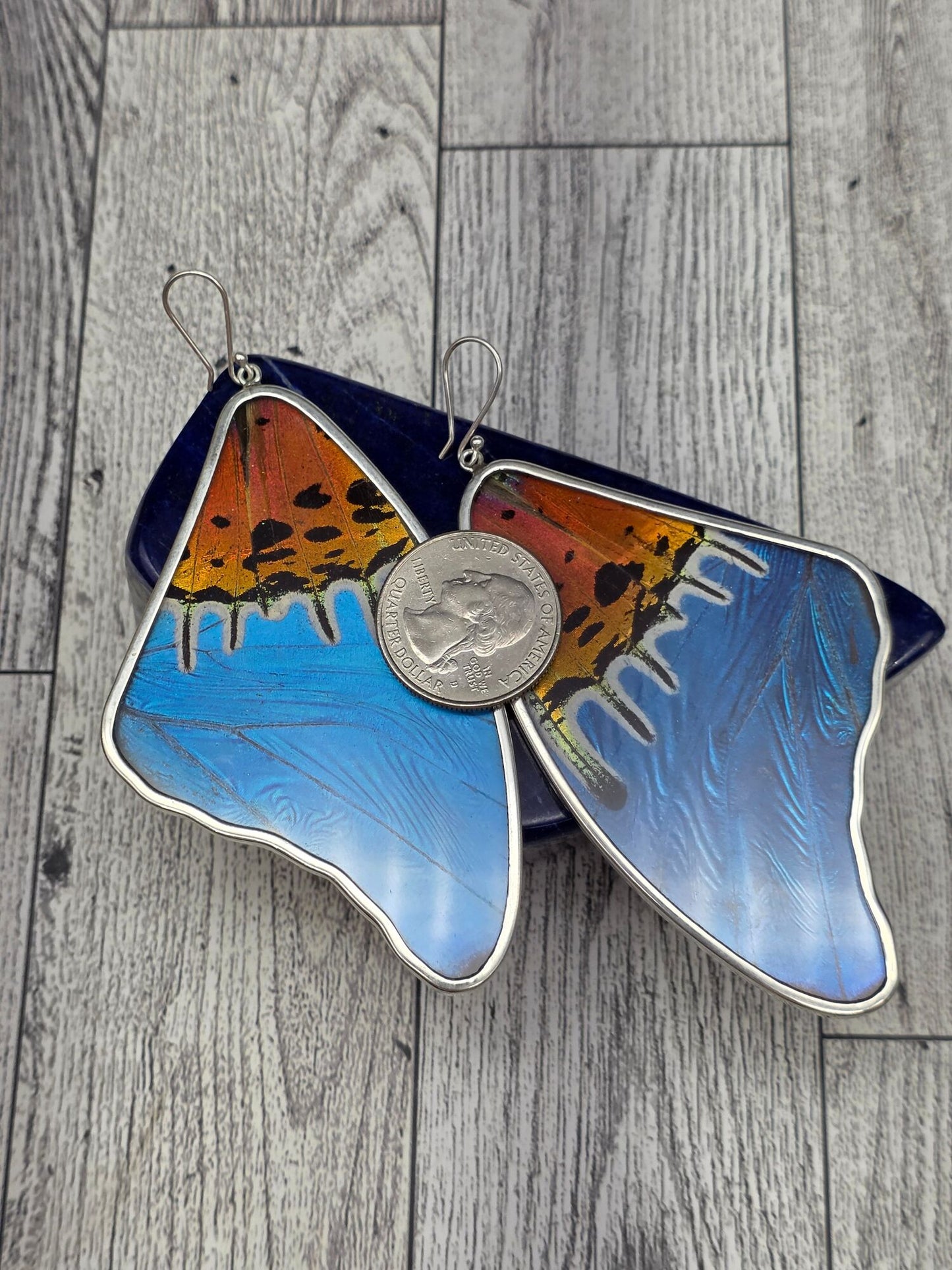 Large Butterfly Wing Hook Earrings - alternate view