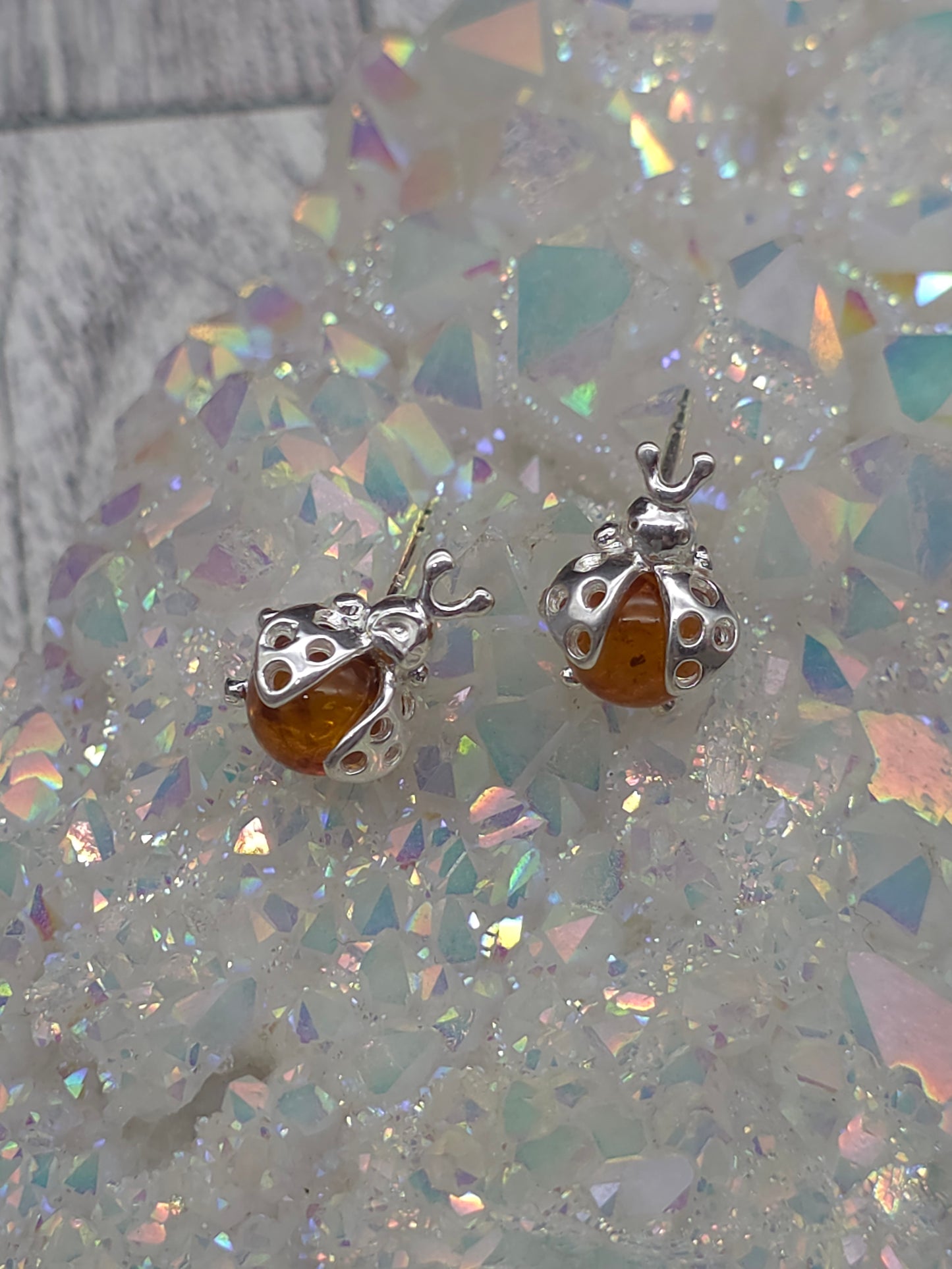 Amber Ladybug Post Earrings