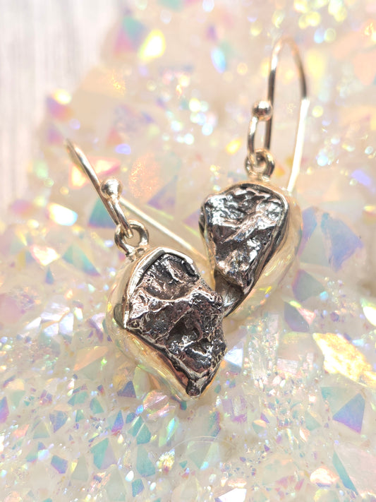 Meteorite Sterling Silver Hook Earrings