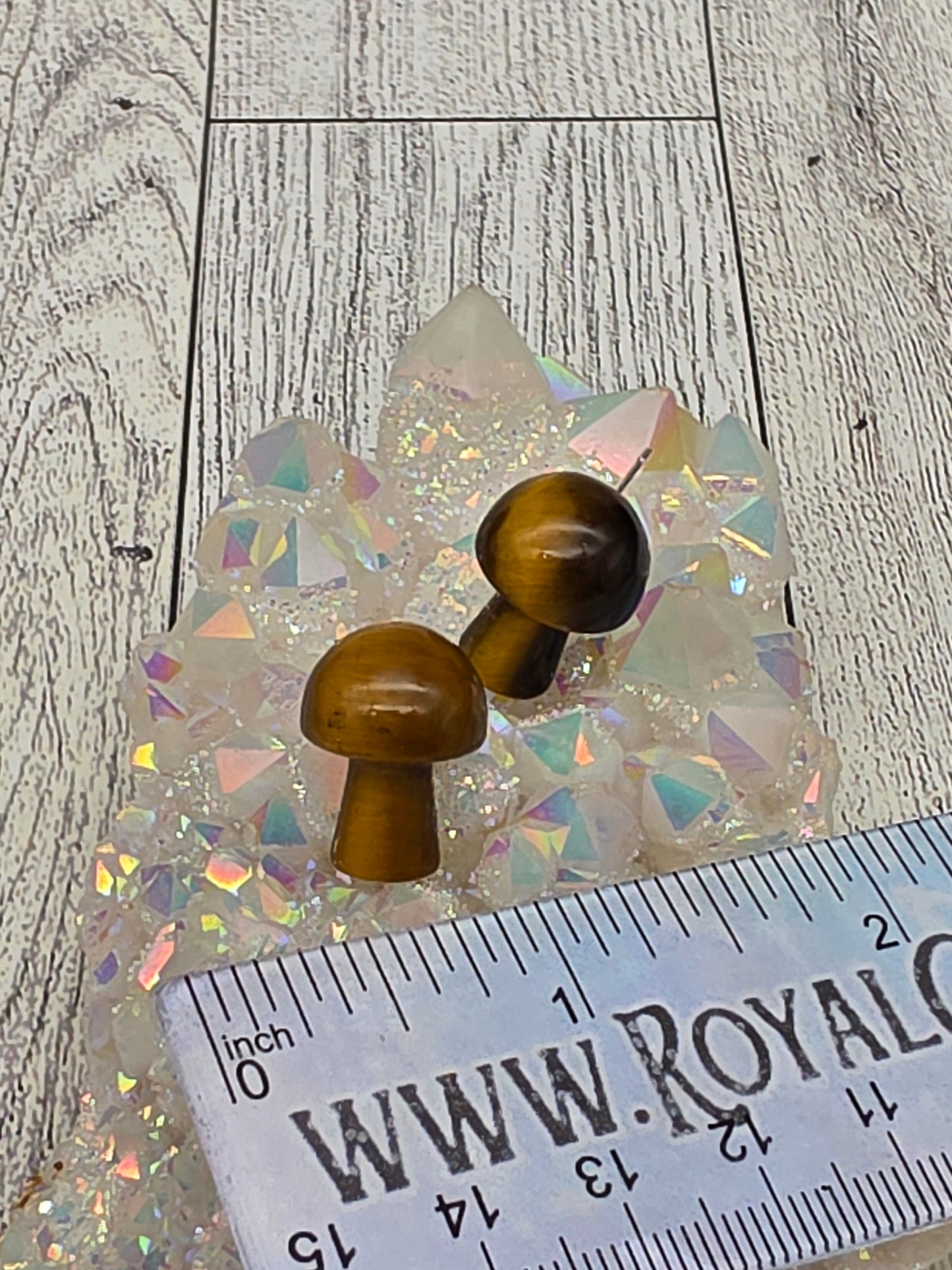 Tiger Eye Mushroom Earrings