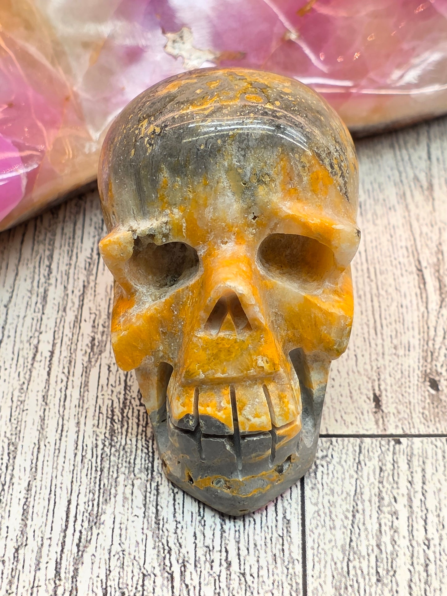 Bumble Bee Jasper Skull