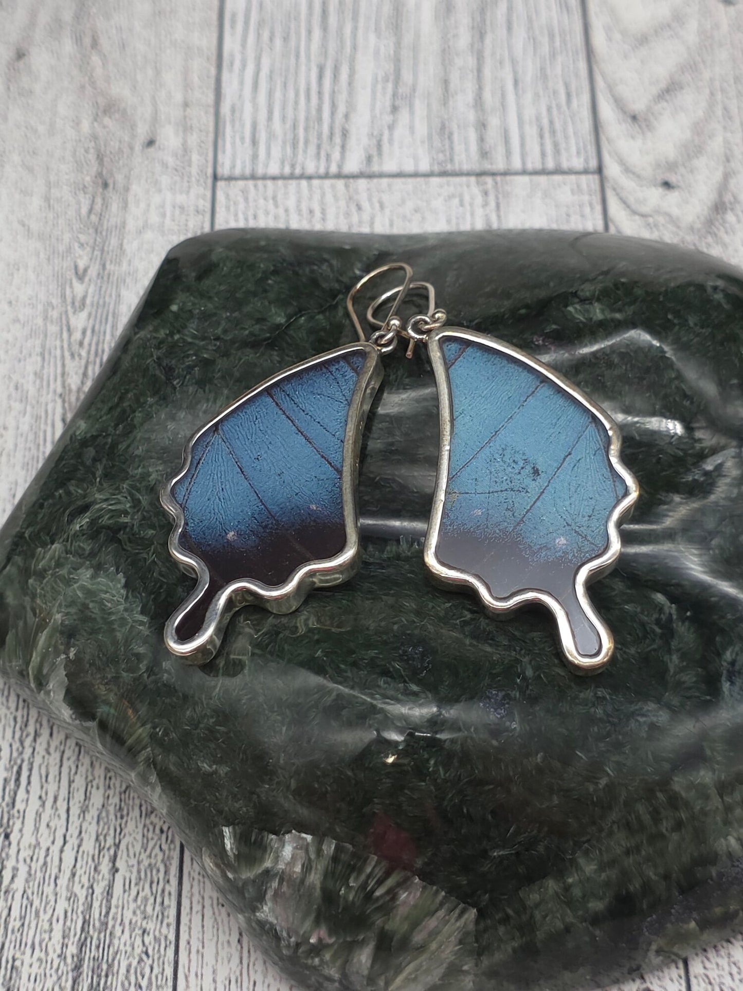 Butterfly Wing Earrings