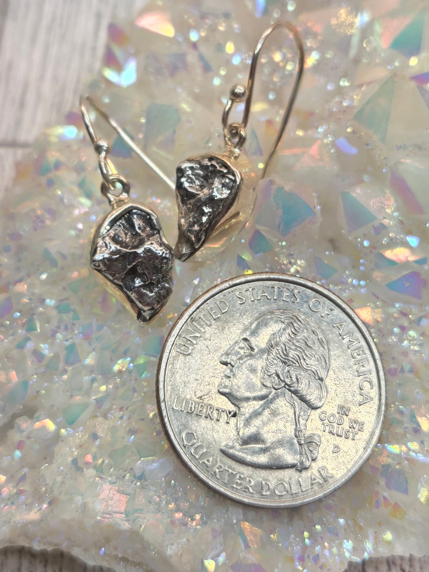 Meteorite Sterling Silver Hook Earrings