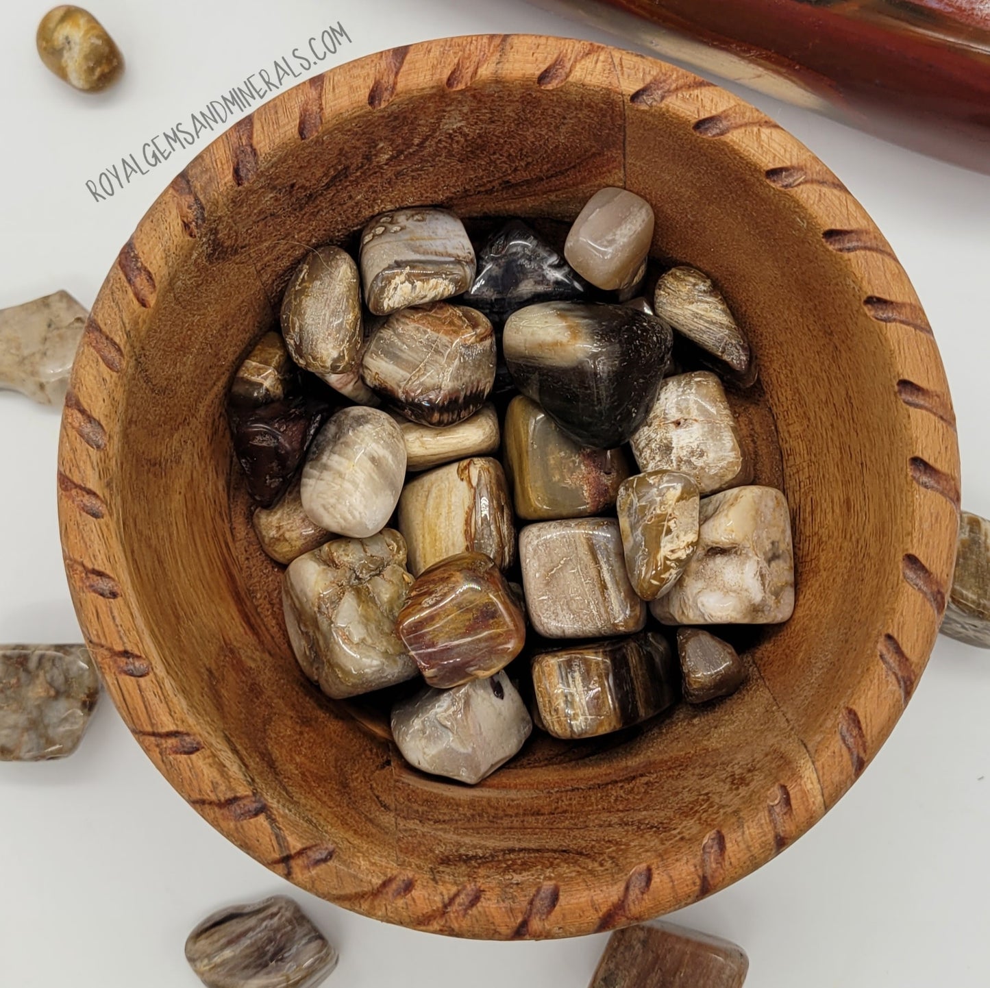 Petrified Wood Tumble