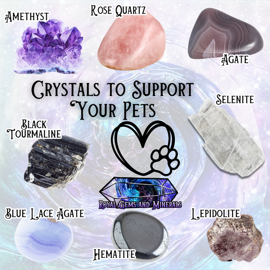 Crystals to Support Your Pets: Enhance Their Well-Being and Harmony