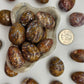 Fossilized Cocoon Eggs - alternate view