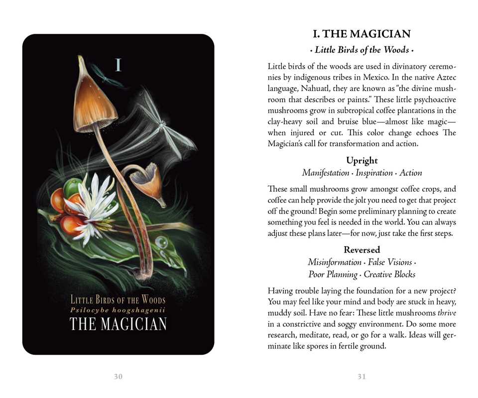Midnight Magic Mushroom Tarot Deck