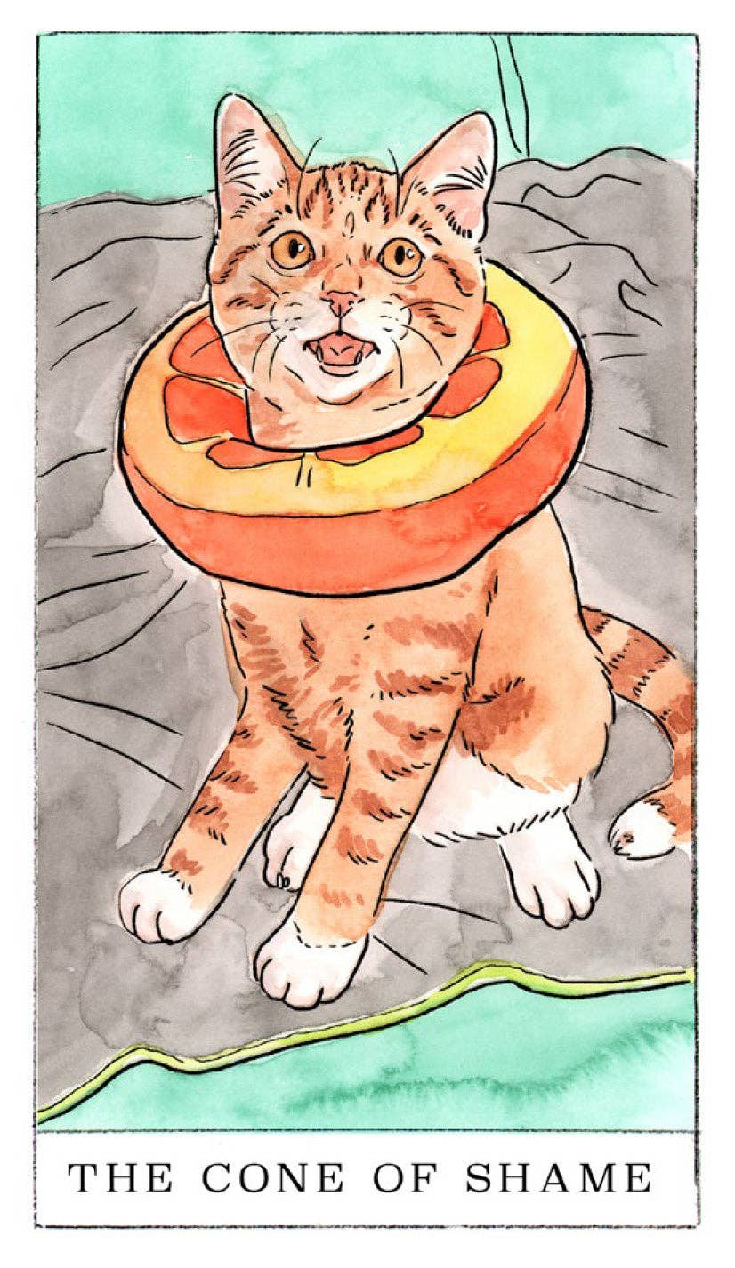 Kitten Oracle Deck