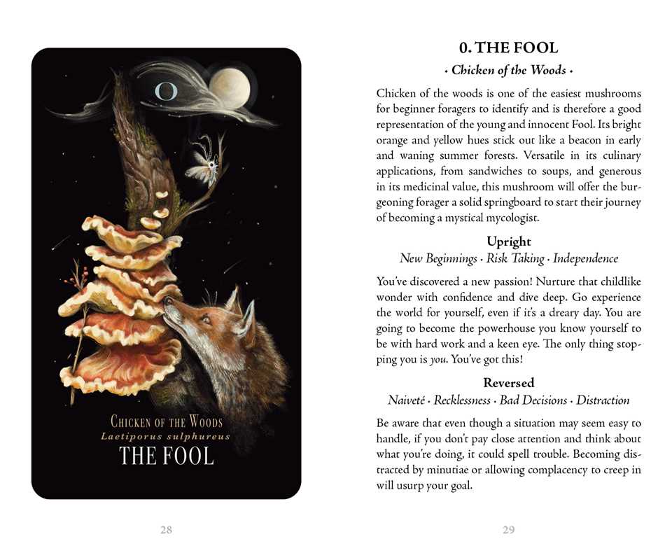 Midnight Magic Mushroom Tarot Deck