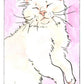 Kitten Oracle Deck