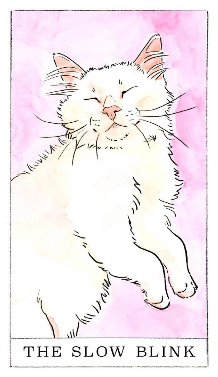 Kitten Oracle Deck