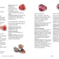 Pocket Crystal Healer Book