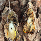 Raw Amber Slice Earrings - size reference