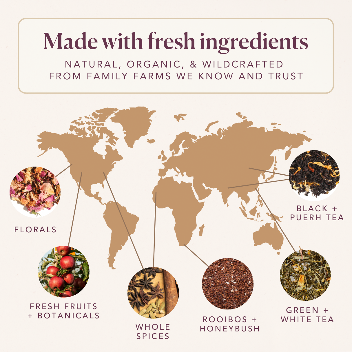 Root Beer Black Loose Leaf Tea