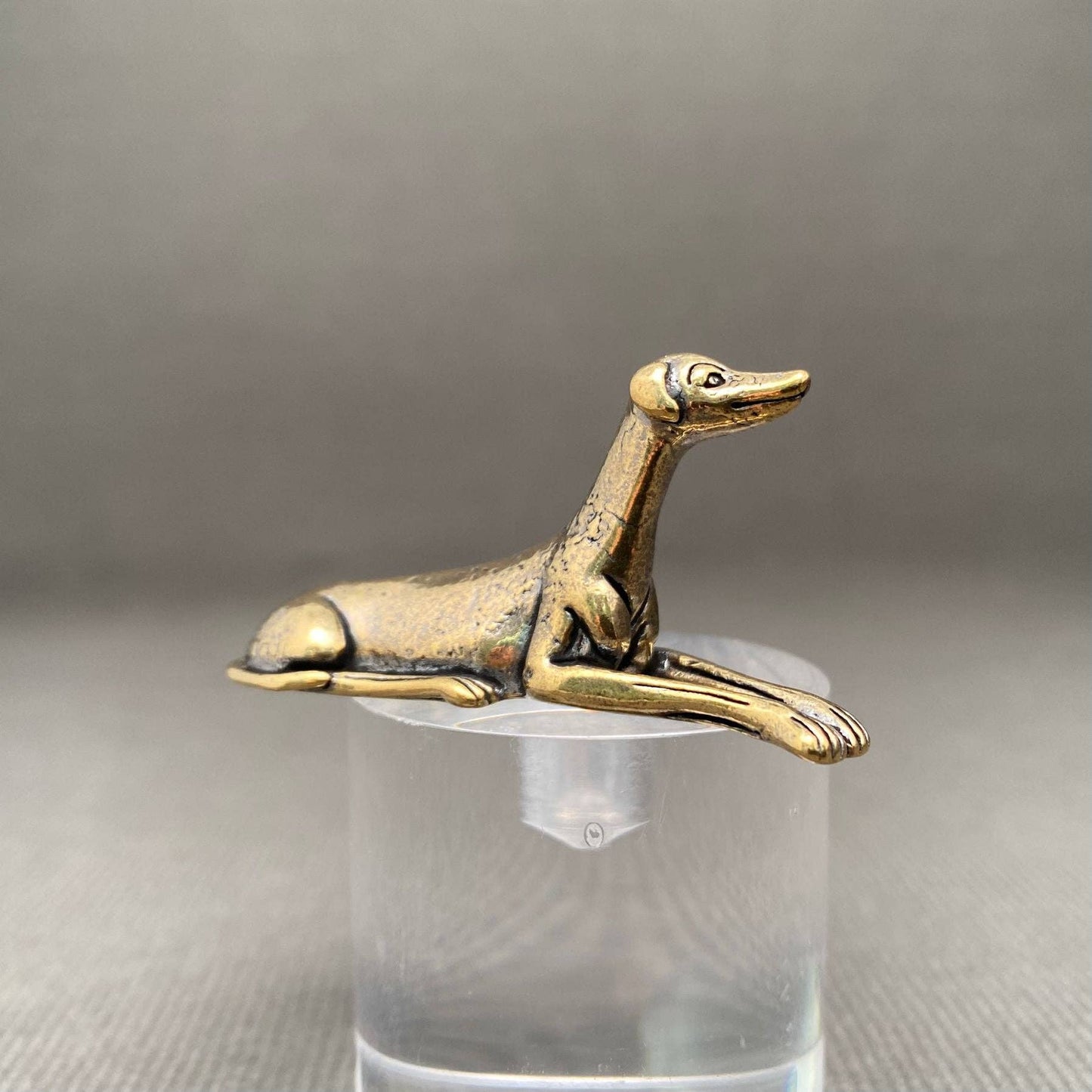 Brass Dog