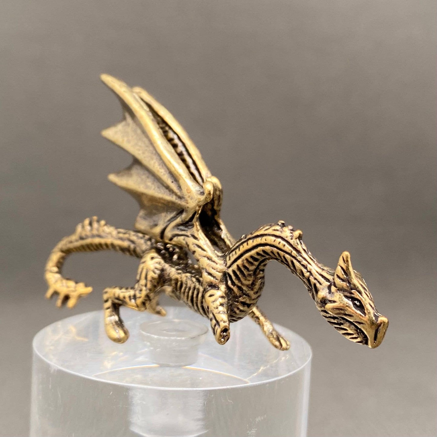 Brass Dragon