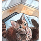 Kitten Oracle Deck