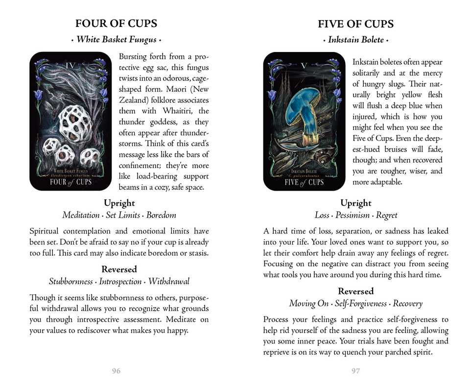 Midnight Magic Mushroom Tarot Deck