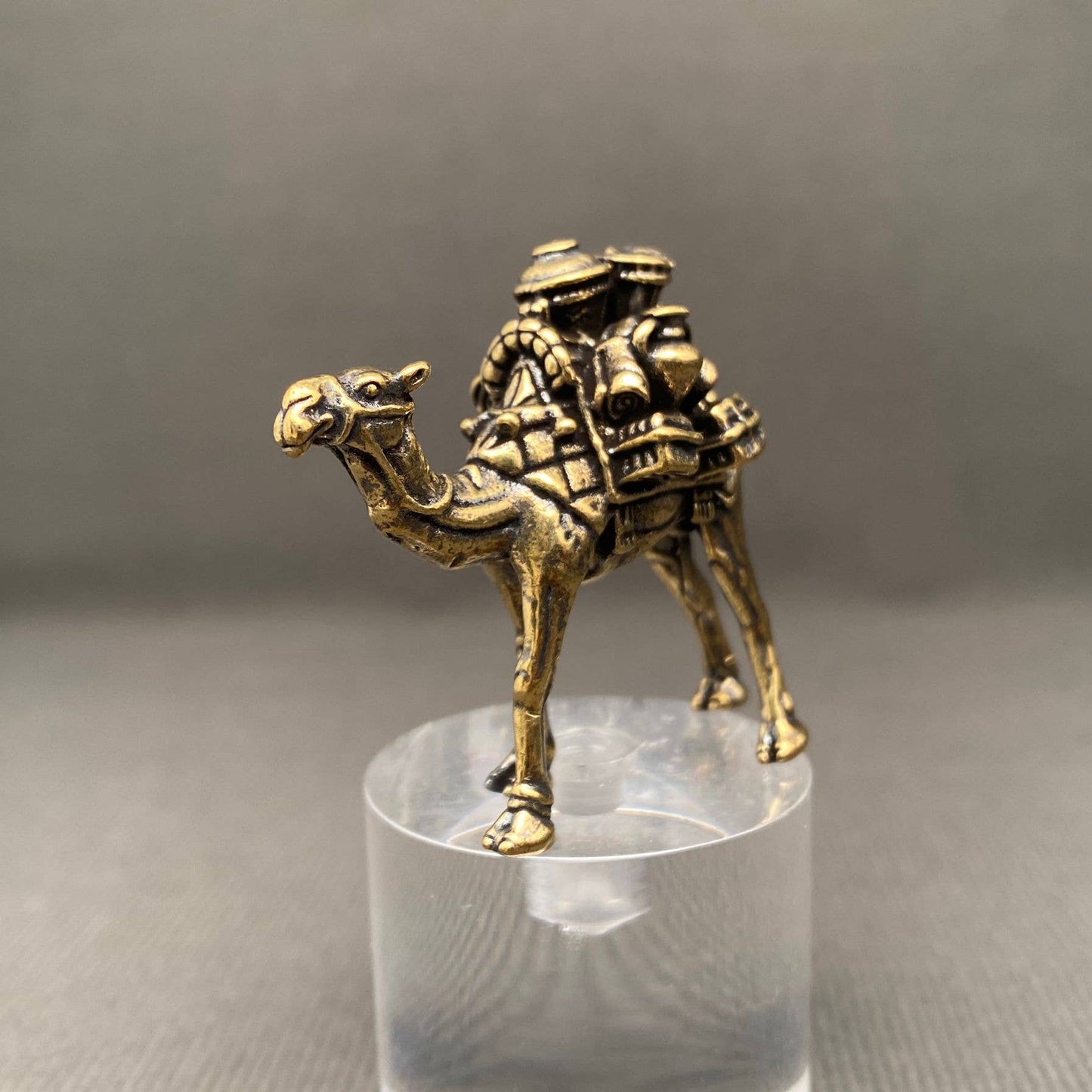 Brass Camel