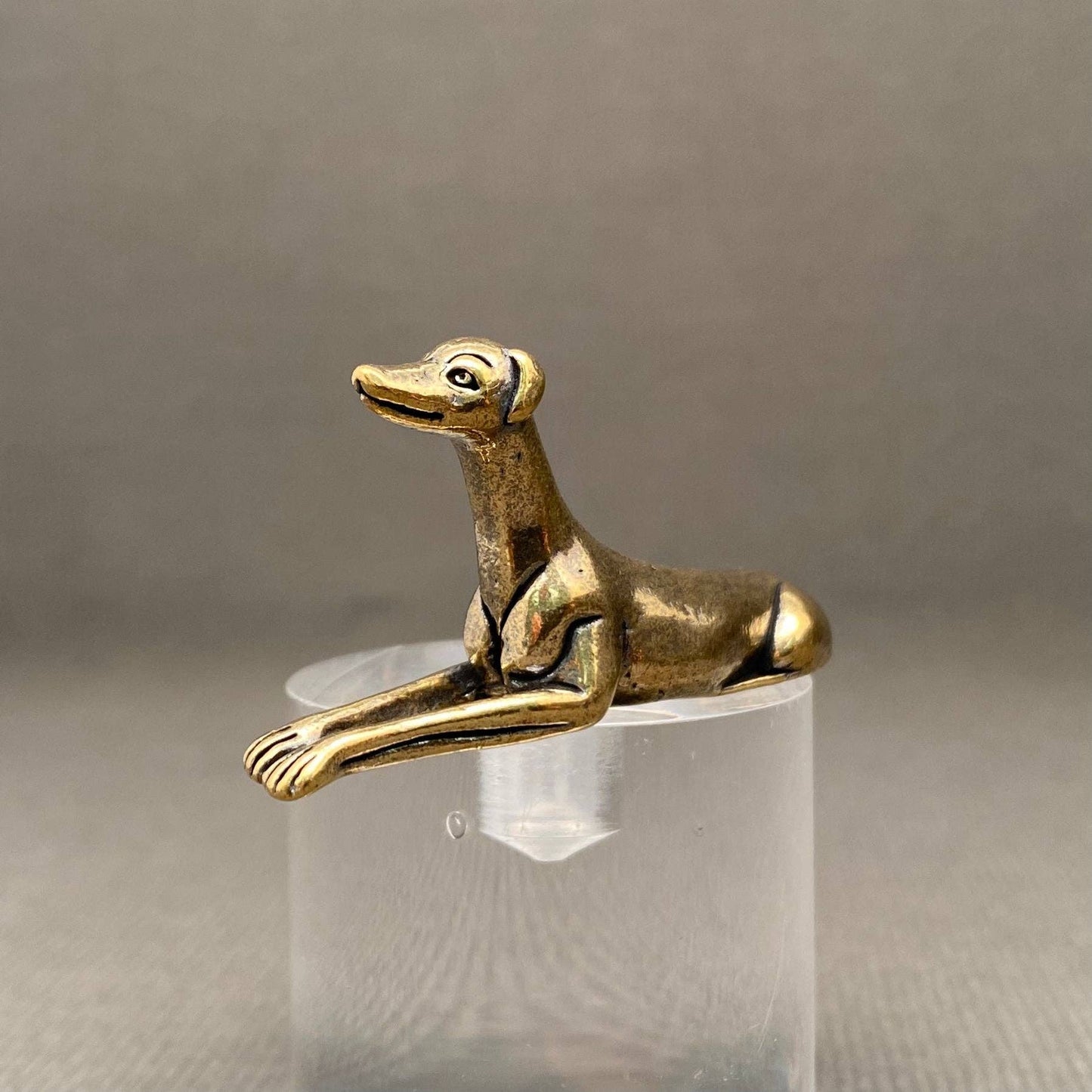Brass Dog