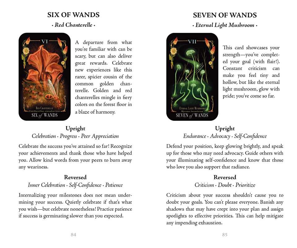 Midnight Magic Mushroom Tarot Deck