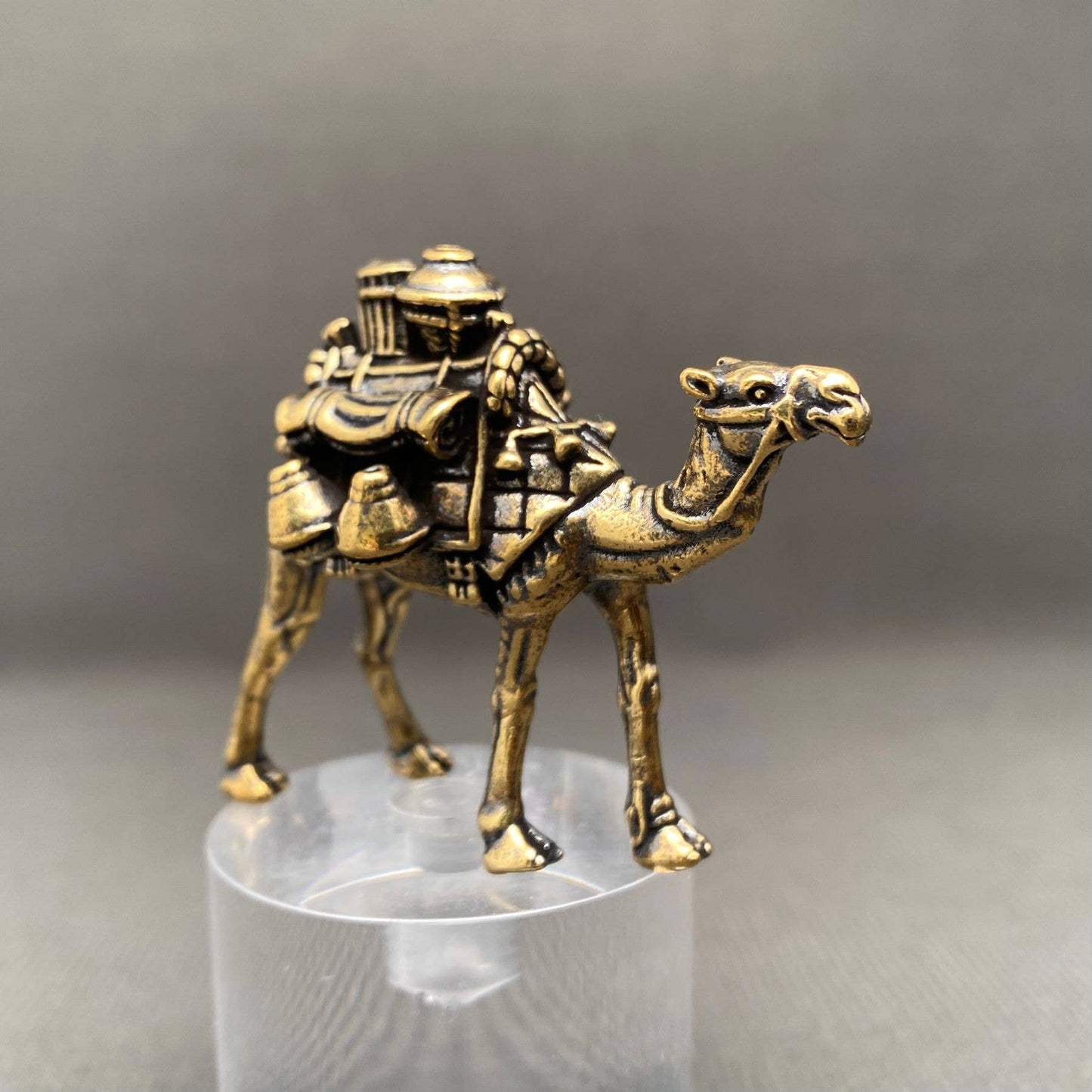 Brass Camel