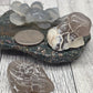 Snakeskin Agate Raw Fire Agate