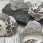 Snakeskin Agate Raw Fire Agate