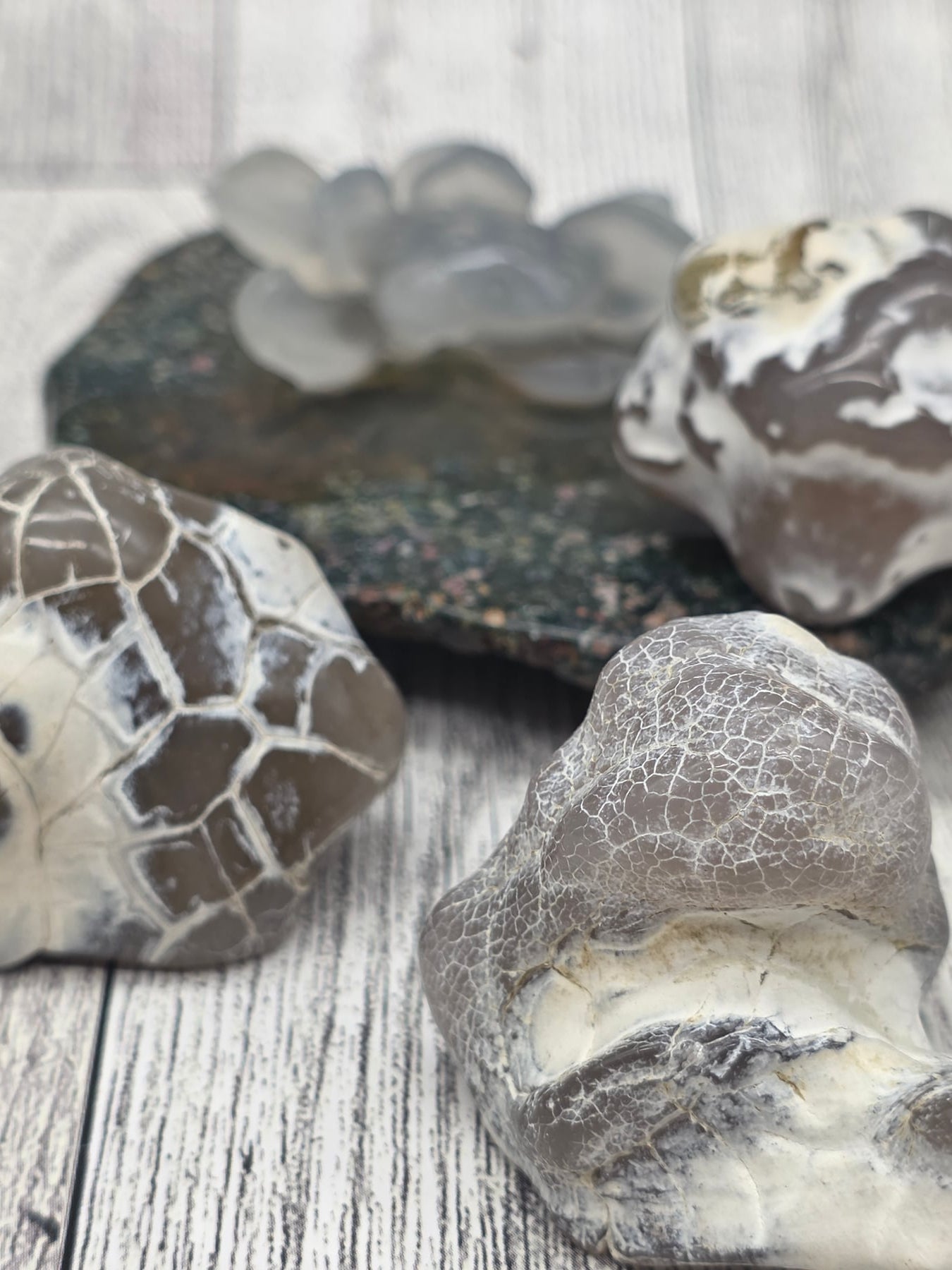 Snakeskin Agate Raw Fire Agate
