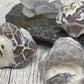 Snakeskin Agate Raw Fire Agate