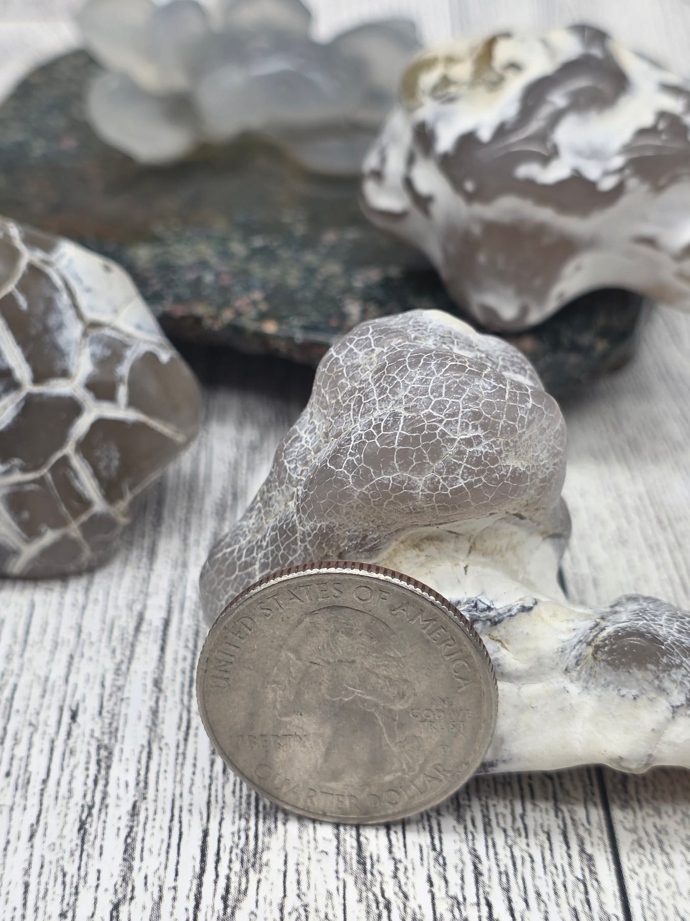 Snakeskin Agate Raw Fire Agate